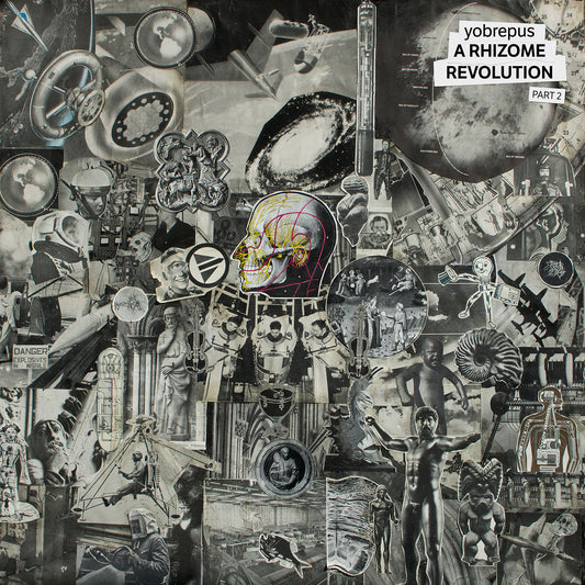Yobrepus - A Rhizome Revolution Part 2 - LP