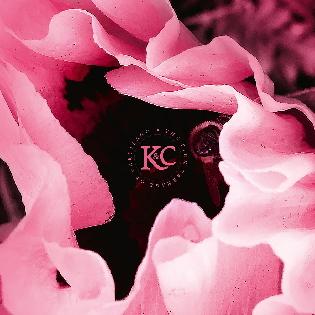Kolman & Calvert - The Pink Carnage of Cartilago - CD