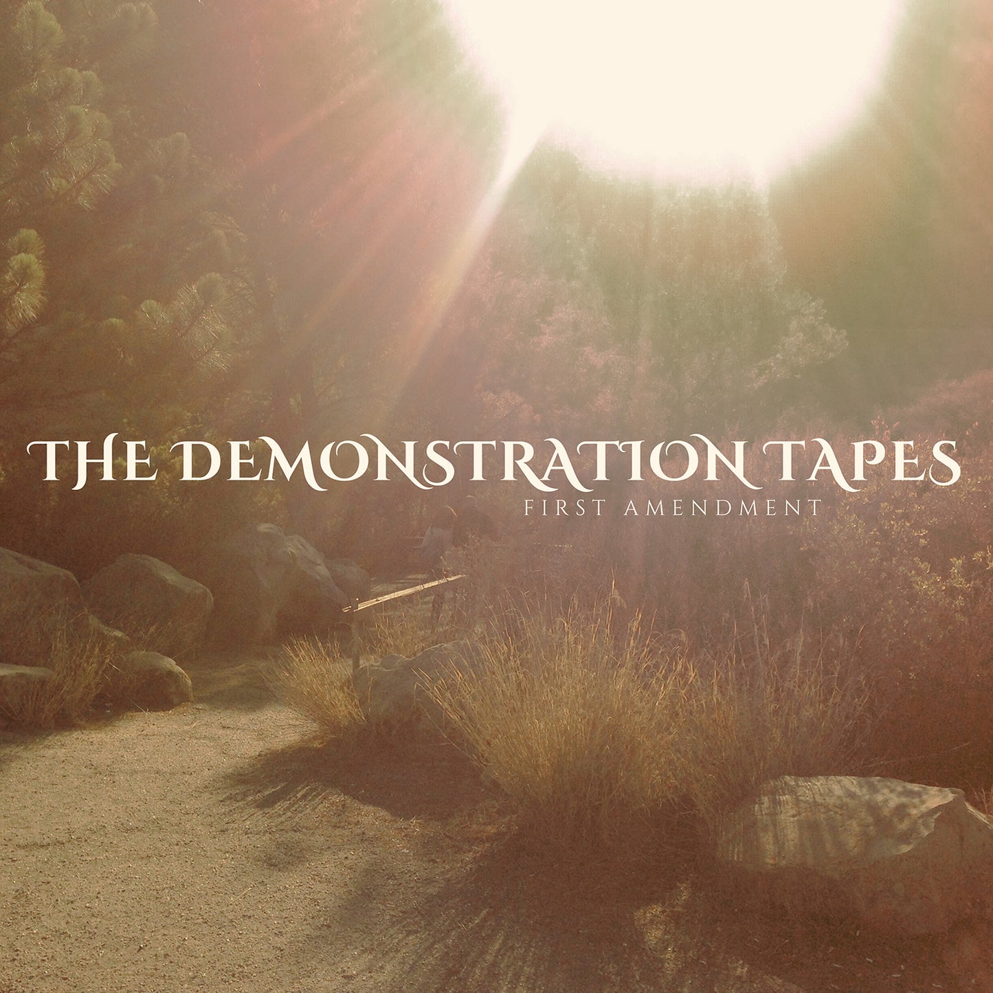 The Demonstration Tapes - First Amendment - LP