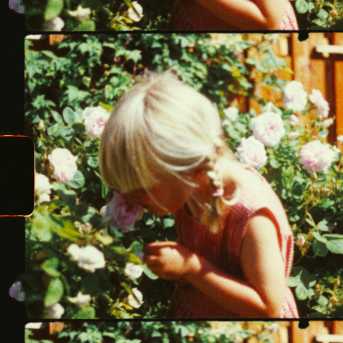 Hiccup Heart drops single and album preorder is up!