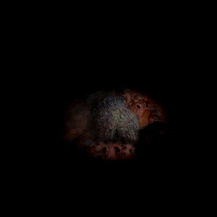 Emmerhoff & The Melancholy Babies is back with new single Hex