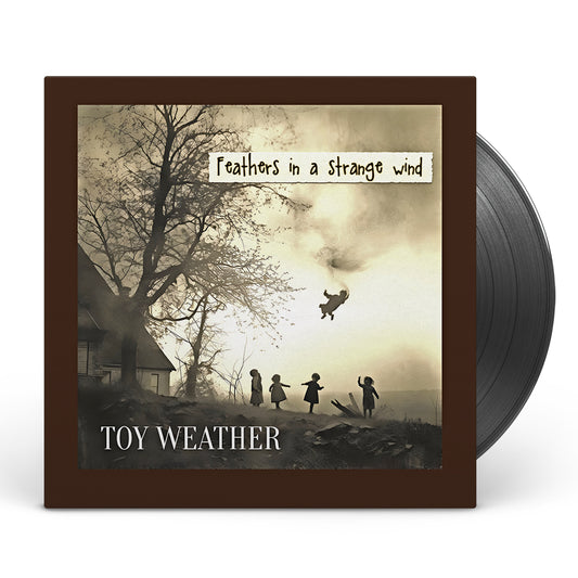 Toy Weather - Feathers in a strange wind - LP
