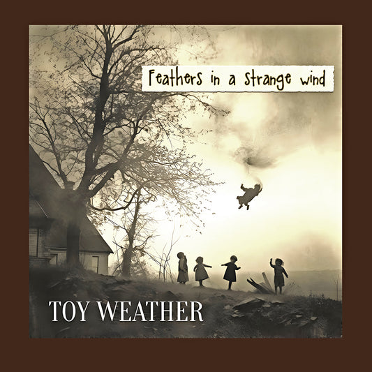 Toy Weather - Feathers in a strange wind - CD