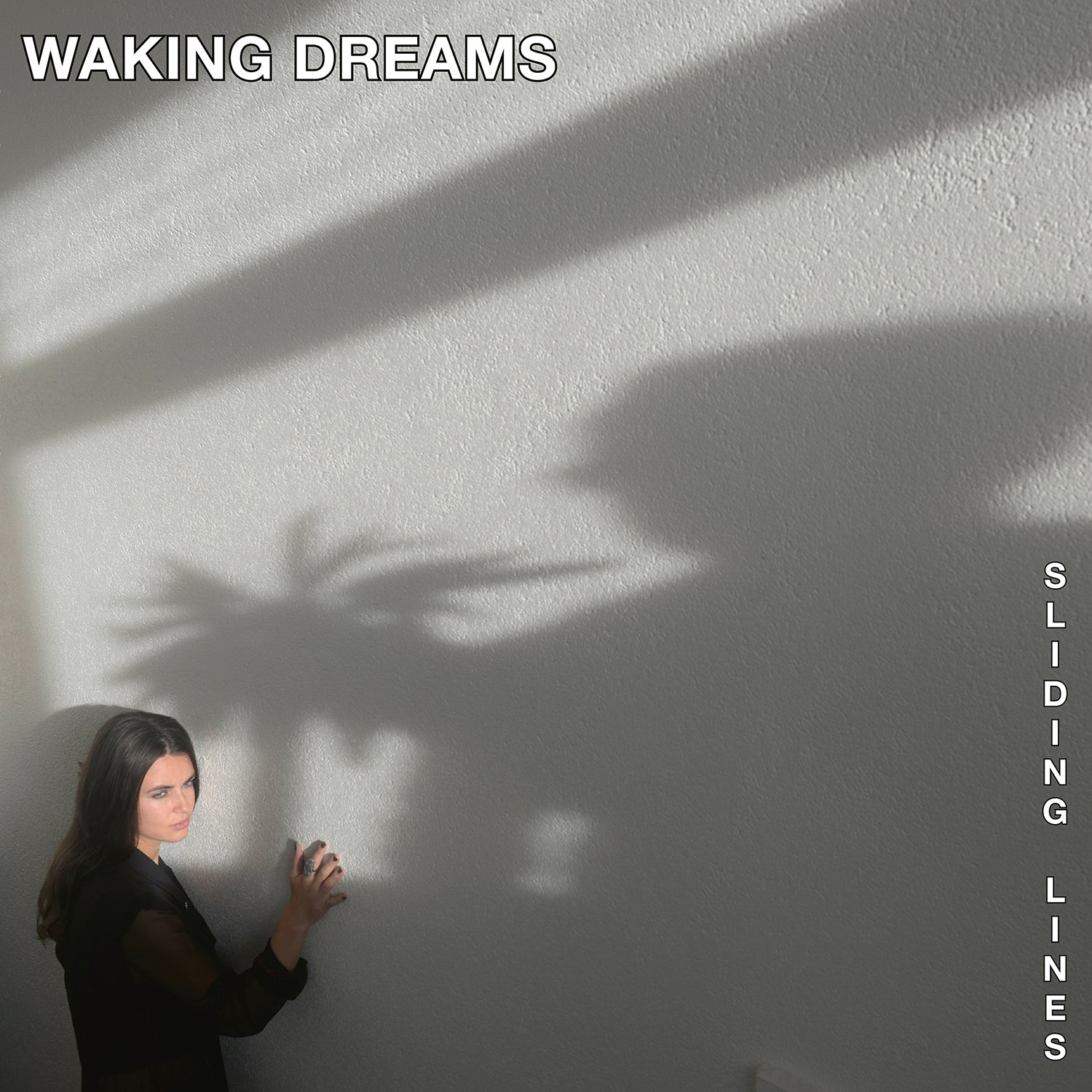 AP138CD Waking Dreams.jpg