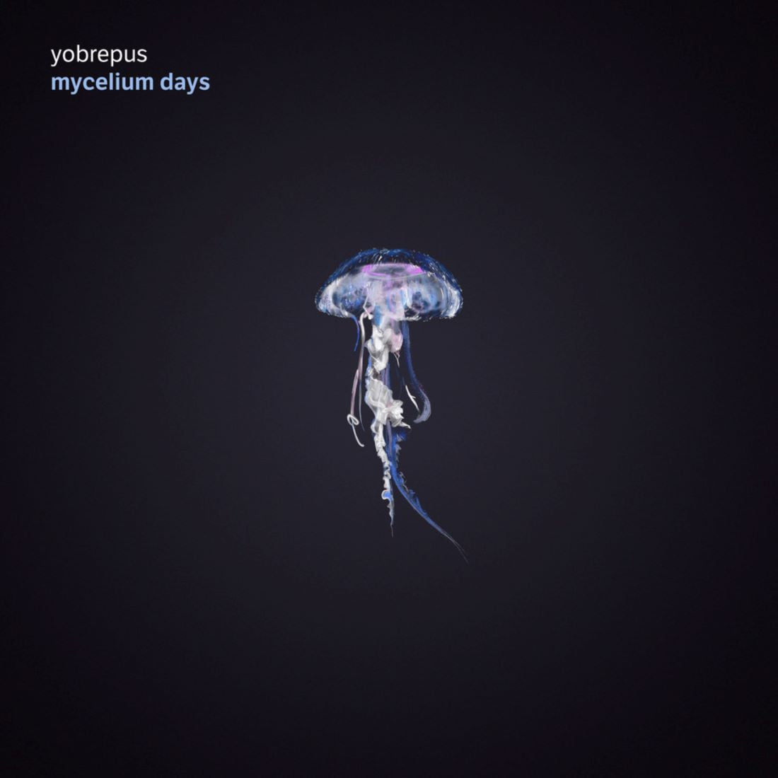 Yobrepus - Mycelium Days cd_vinyl_cover